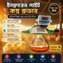 ইনফ্রারেড লাইট কম্ব ব্রুডার (১০০ ওয়াট)
