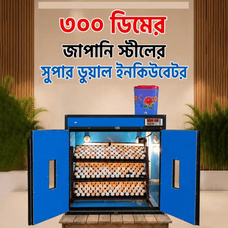 ৩০০ সেটার ৩০০ হ্যাচার জাপানি স্টিল সুপার ডুয়াল সিস্টেম ইনকিউবেটর