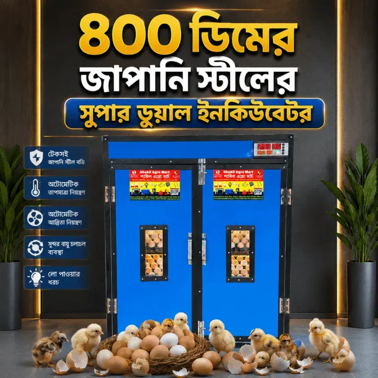 ৪০০ সেটার ৪০০ হ্যাচার জাপানি স্টিল সুপার ডুয়াল সিস্টেম ইনকিউবেটর