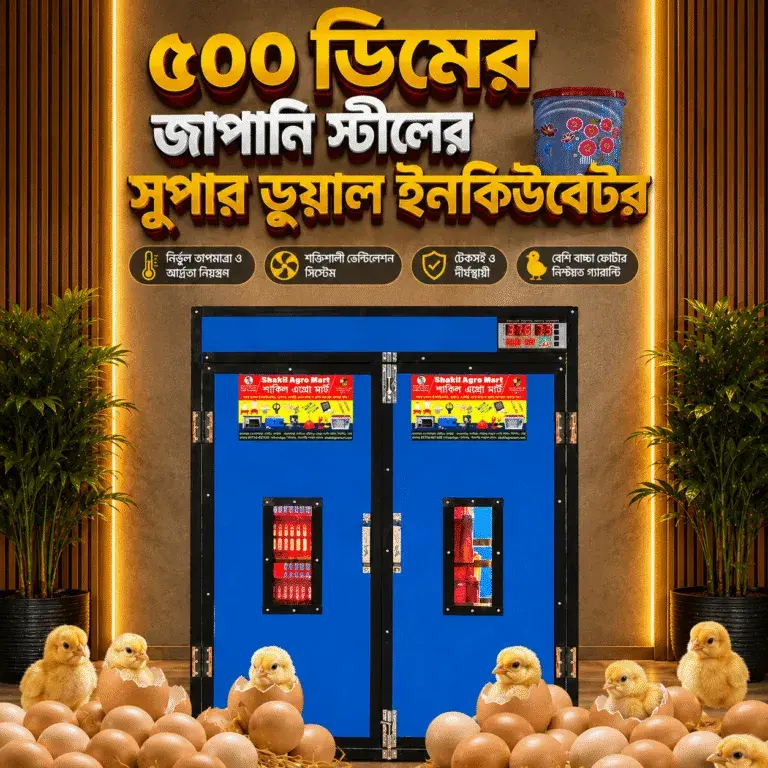 ৫০০ সেটার ৫০০ হ্যাচার জাপানি স্টিল সুপার ডুয়াল সিস্টেম ইনকিউবেটর