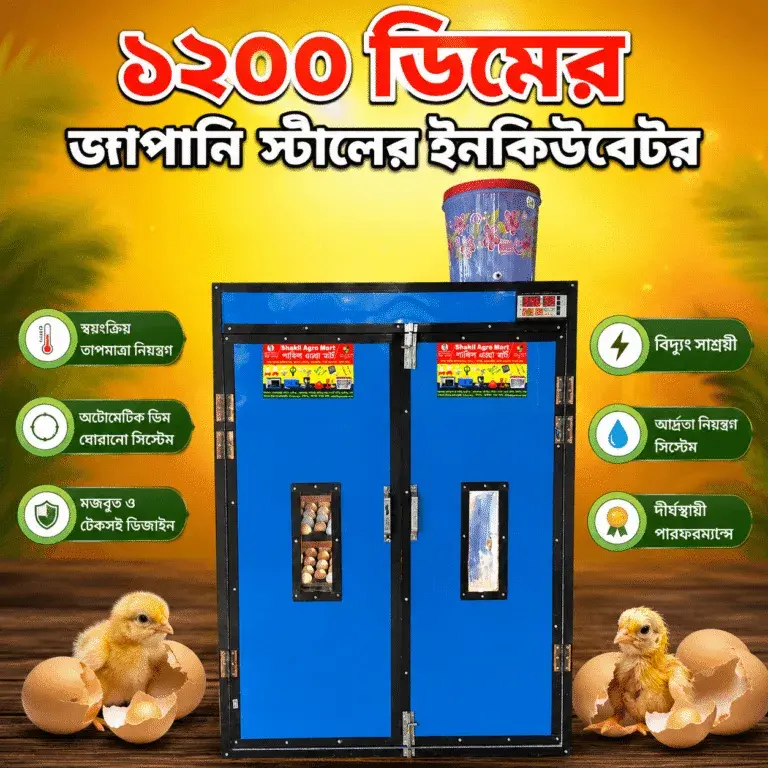ইনকিউবেটর কেনার আগে যে ৫টি বিষয় জানা জরুরি