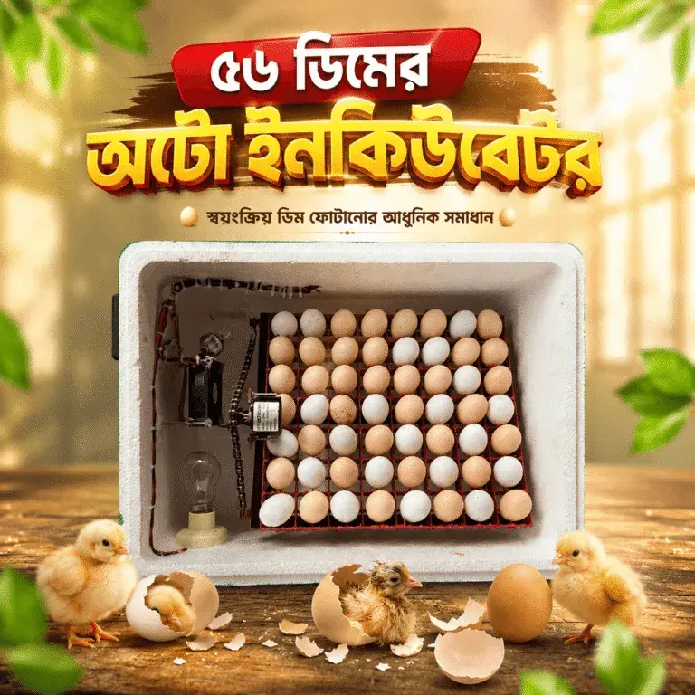 এসি, ডিসি ডাবল সার্কিট ৫৬ ডিমের অটো ইনকিউবেটর, ৫৬ সেটার ও ৫৬ হ্যাচার (ডিম অটো ঘুরবে)