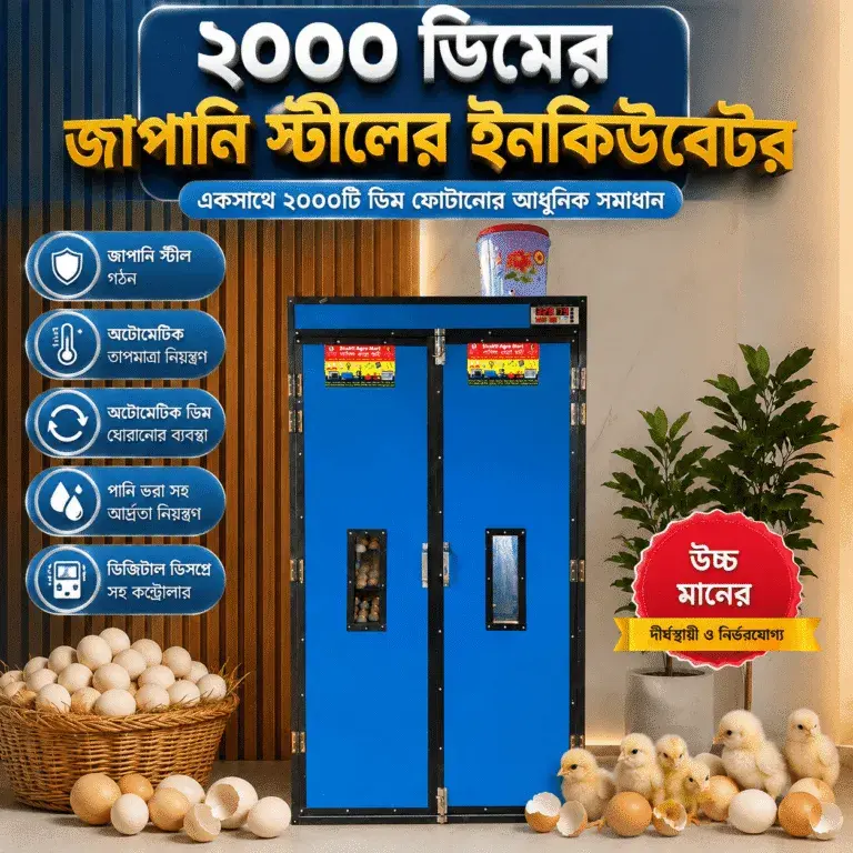 ২০০০ ডিমের জাপানি স্টিল বডি ফুল অটো ইনকিউবেটর