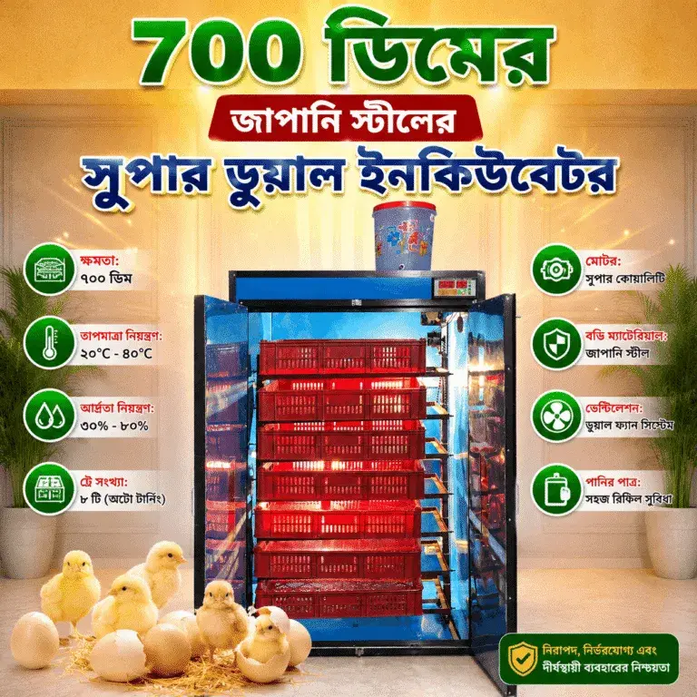 ৭০০ সেটার ৭০০ হ্যাচার জাপানি স্টিল সুপার ডুয়াল সিস্টেম ইনকিউবেটর