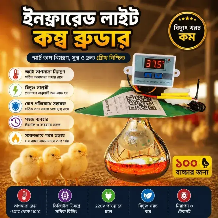 ইনফ্রারেড লাইট কম্ব ব্রুডার (১০০ ওয়াট)